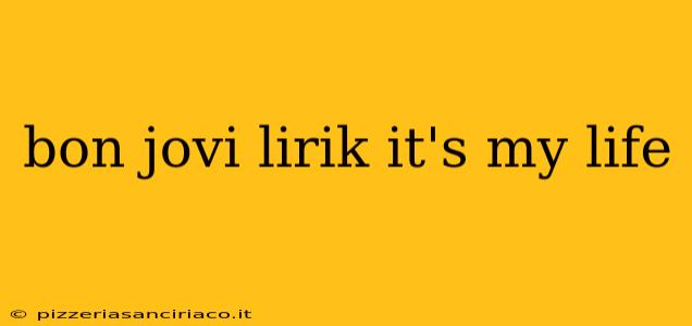 bon jovi lirik it's my life