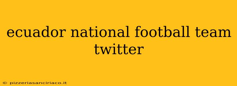 ecuador national football team twitter