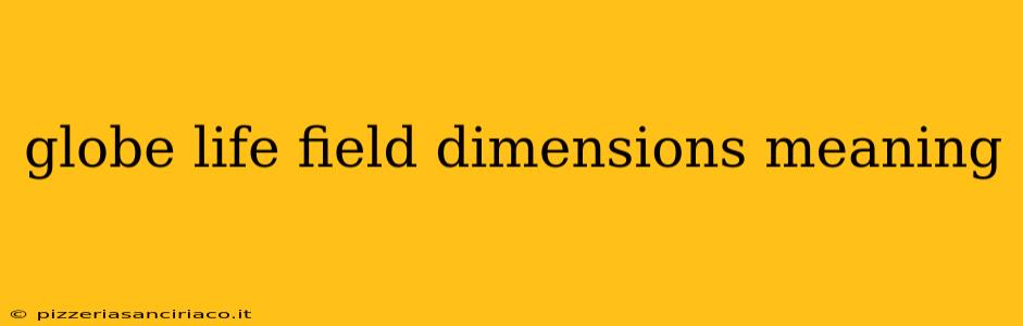 globe life field dimensions meaning