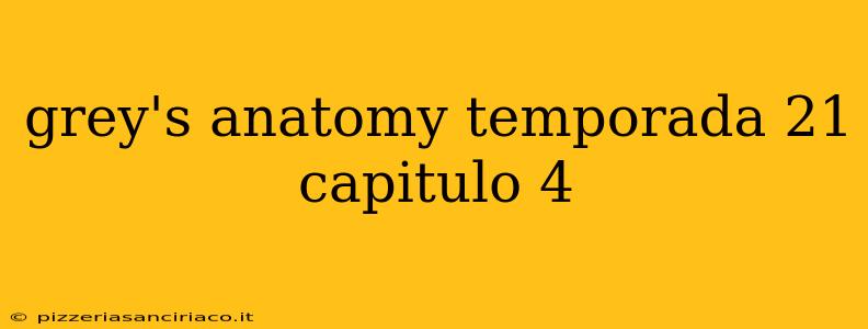 grey's anatomy temporada 21 capitulo 4