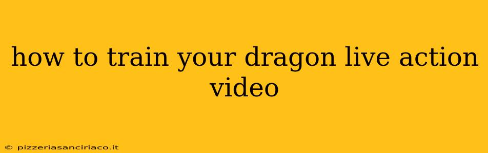 how to train your dragon live action video