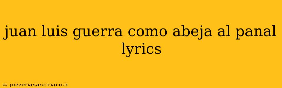 juan luis guerra como abeja al panal lyrics