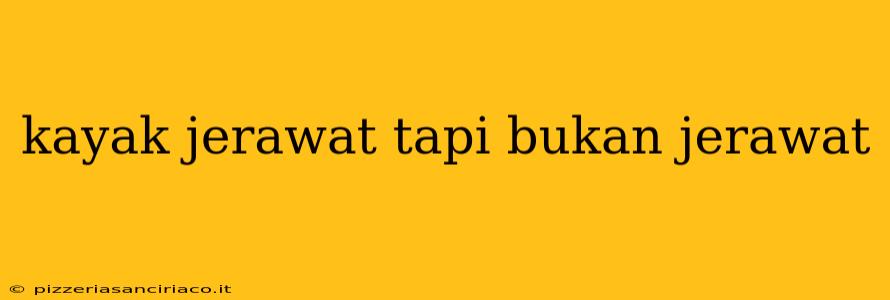 kayak jerawat tapi bukan jerawat