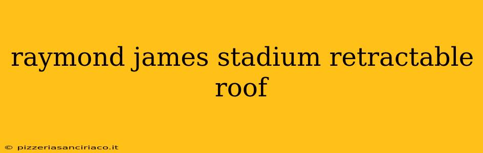 raymond james stadium retractable roof