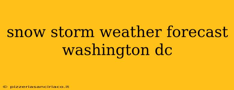 snow storm weather forecast washington dc