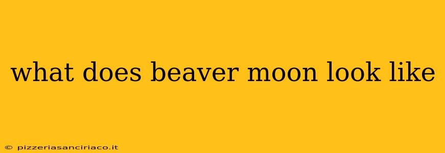 what does beaver moon look like