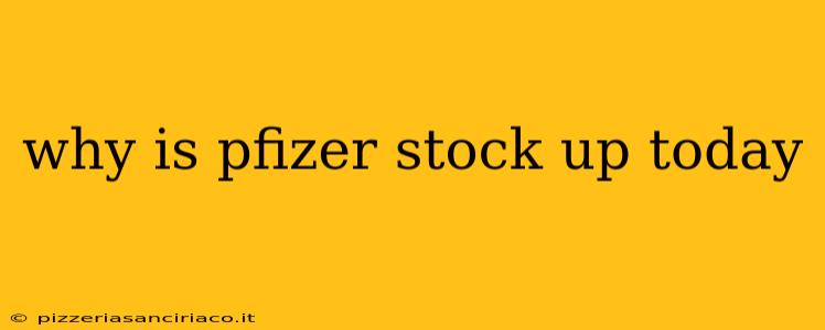 why is pfizer stock up today