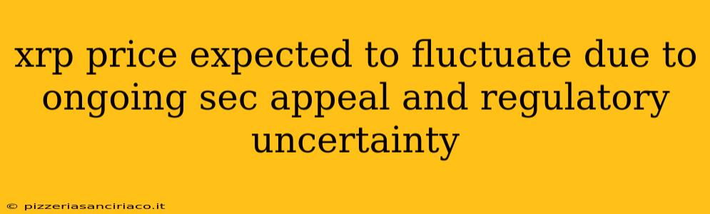 xrp price expected to fluctuate due to ongoing sec appeal and regulatory uncertainty